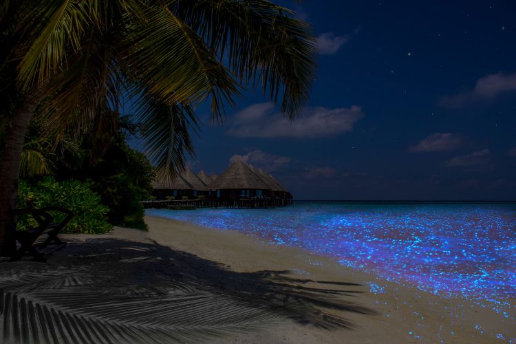 Glitzern des Meers und Strandes auf den Malediven