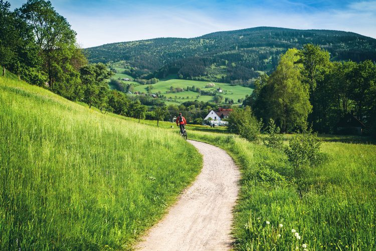 Der Schwarzwald eignet sich perfekt zum Biken