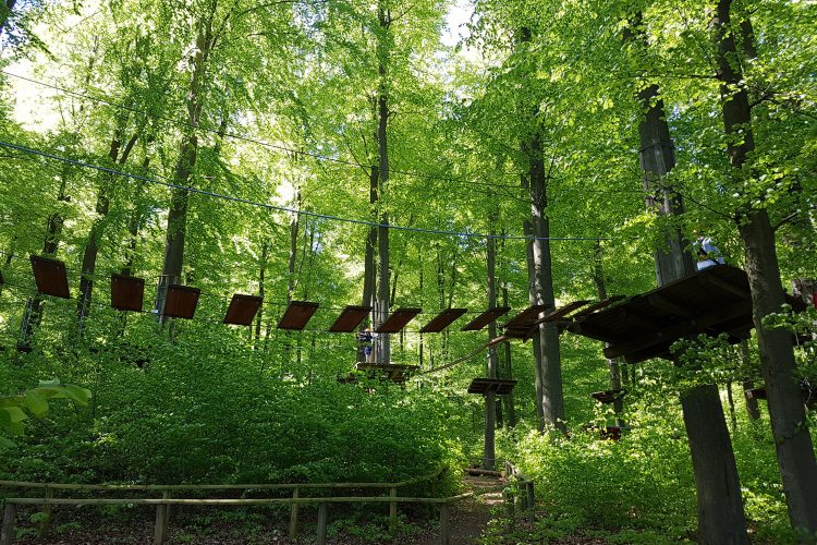 Im Treetopwalk Kellerwald-Edersee kann man auch über wackelige Hängebrücken klettern